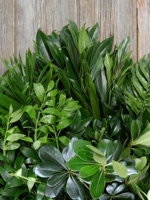 Fabulous Foliage Greens Combo Box